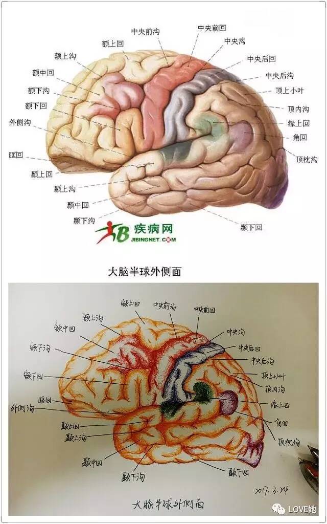 澳门新葡官网进入网站8883